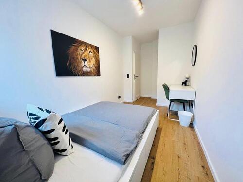 Foto - Ein Zimmer-Wohnung in einer 4er-WG