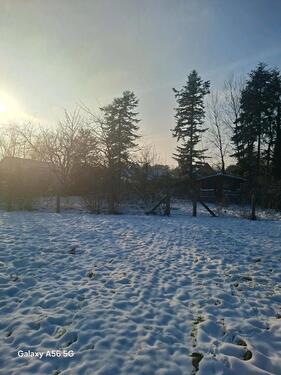 Foto - Grundstück zu vermieten - 200,00&nbsp;EUR Kaltmiete, ca.&nbsp; 1.500,00&nbsp;m&sup2;