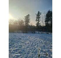 Grundstück zu vermieten - 200,00&nbsp;EUR Kaltmiete, ca.&nbsp; 1.500,00&nbsp;m&sup2; in Nordhorn (PLZ: 48531) Bakelde