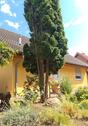 Foto - Einfamilienhaus zum Kaufen in Hohe Börde