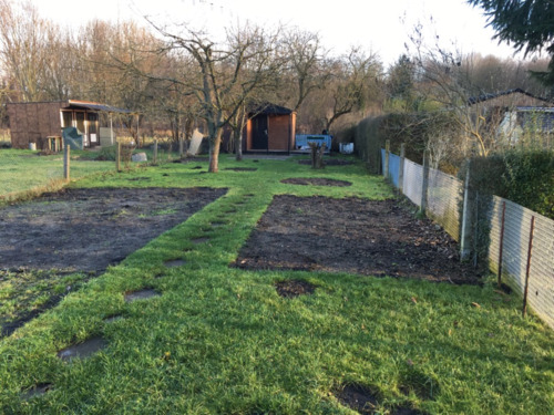 Foto - Garten in Perleberg - 40,00 EUR Kaltmiete, ca.  0,00 m²