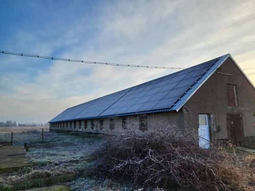 Foto - andere zur Miete in Löwenberger Land