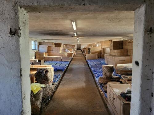 Foto - andere in Löwenberger Land