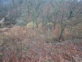 Foto - 1152m² Waldfläche stark durchforstet, schwer zu bewirtschaften.