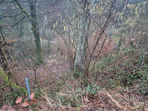 Foto - Grundst&uuml;ck in Hennef (Sieg) zur Miete