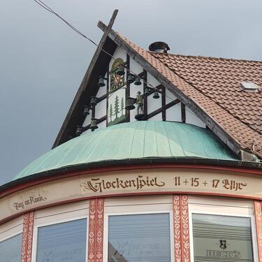 Foto - Einfamilienhaus in Braunlage zum Kaufen