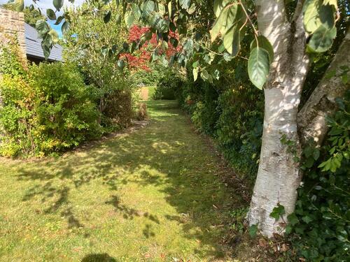 Foto - Einfamilienhaus in Extertal zum Kaufen