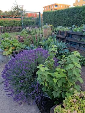 Foto - Garten in Ketzin abzugeben - 5.000,00 EUR Kaltmiete, ca.  0,00 m²