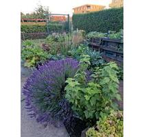 Garten in Ketzin abzugeben - 5.000,00 EUR Kaltmiete, ca.  0,00 m² in Neustadt (Dosse) (PLZ: 16845)