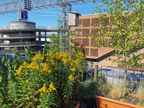 Foto - City-Maisonettewohnung mit Dachterrasse in Meernähe