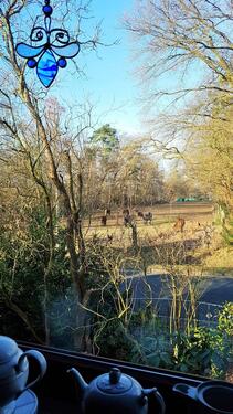 Foto - Hannover gefragte Lage Haus mit 2 Wohnungen Garten Bothfeld
