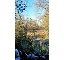 Hannover gefragte Lage Haus mit 2 Wohnungen Garten Bothfeld