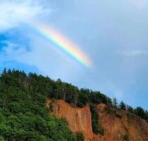 Kleingarten zu verpachten - 1.999,00&nbsp;EUR Kaltmiete, ca.&nbsp; 0,00&nbsp;m&sup2; in Gera (PLZ: 07549) Lusan