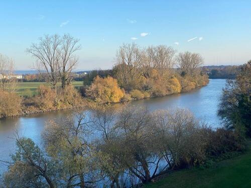 Foto - Einzigartige Perle in Seligenstadt am Main
