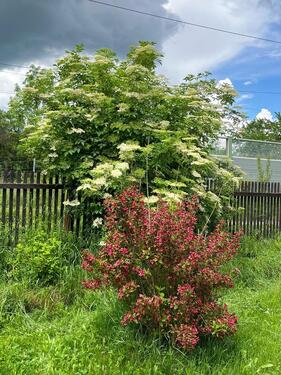 Foto - Grundst&uuml;ck in Gotha