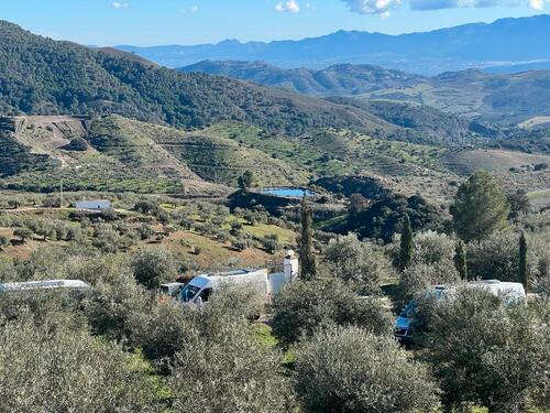Foto - 1 Zimmer Dachgeschoßwohnung zur Miete in Bad Bramstedt