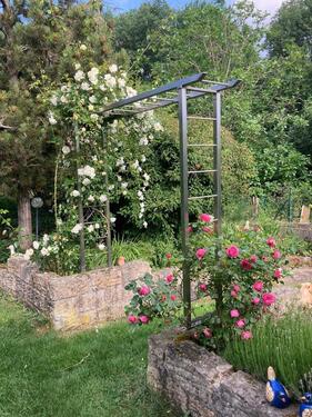 Foto - Einfamilienhaus mit Büro und großen Garten