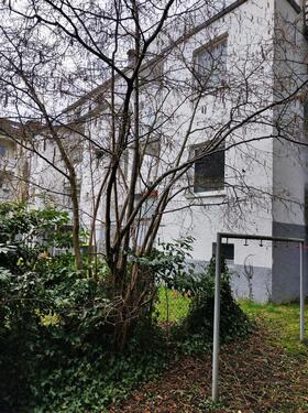 Foto - 3 Zimmer Erdgeschoßwohnung in Siegen