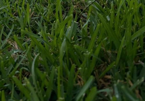 Foto - A+ energieeffizientes Haus im Leipziger Umland 1200m² Gs 220m² Wf