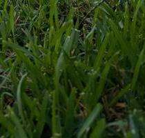 A+ energieeffizientes Haus im Leipziger Umland 1200m² Gs 220m² Wf - Naunhof