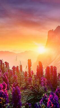 Foto - Apartment, 38 qm zu vermieten, Haltern Stadtmitte