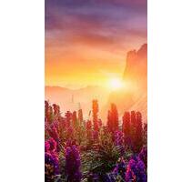 Apartment, 38 qm zu vermieten, Haltern Stadtmitte - Haltern am See