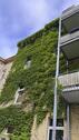 Foto - Helle 3-Raum-Wohnung mit Balkon in der südlichen Innenstadt (Bern5504)