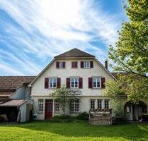 Mehrfamilienhaus mit großem Garten (Provisionsfrei!) - Wehingen