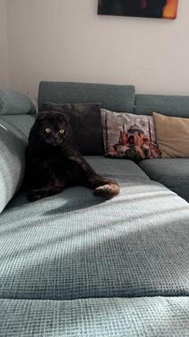 Foto - Etagenwohnung in Senden zum Kaufen