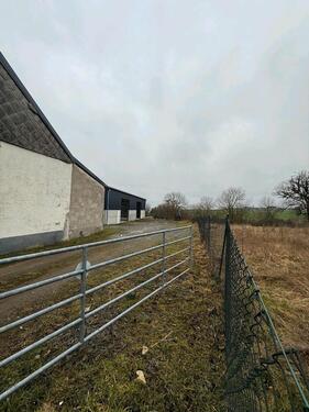 Foto - andere in Dahnen zur Miete