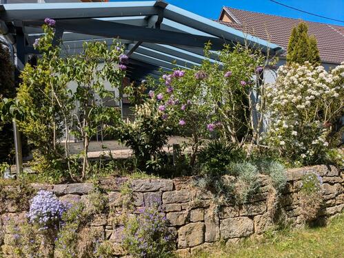 Foto - 7 Zimmer Einfamilienhaus zum Kaufen in Bad Mergentheim