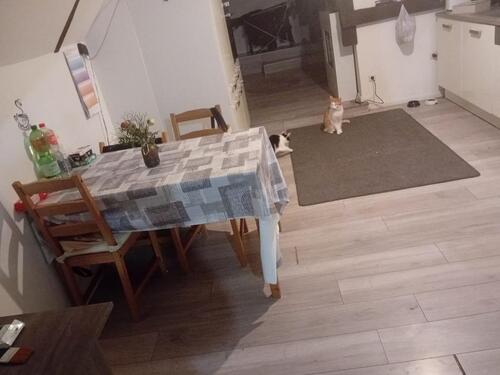 Foto - 2 Zimmer Etagenwohnung zur Miete in Stockelsdorf