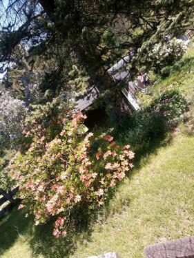 Foto - Grundstück zur Miete in Ellefeld