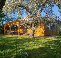 Ostsee Urlaub Darß Zingst Ferienhaus Nähe Barth bis 4 od. 6 Pers.