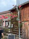 Foto - Bauernhaus, Landhaus in Kitzingen zum Kaufen