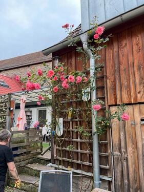 Foto - Bauernhaus, Landhaus in Kitzingen zum Kaufen