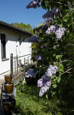 Foto - 1 Zimmer Einfamilienhaus zum Kaufen in Saarbrücken