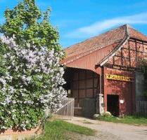 Zwei-Zimmer-Wohnung in Hofgemeinschaft - Springe