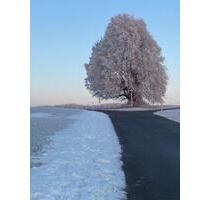 FERIENWOHNUNG Alb-Studio 25 qm in Westerheim – ab Fasching 2026!