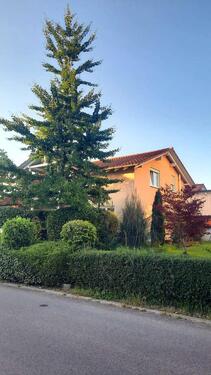Foto - Haben Sie Lust sich gemeinsam ein Einfamilienhaus zu teilen?
