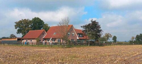 Foto - 11 Zimmer Mehrfamilienhaus, Wohnhaus in Emlichheim