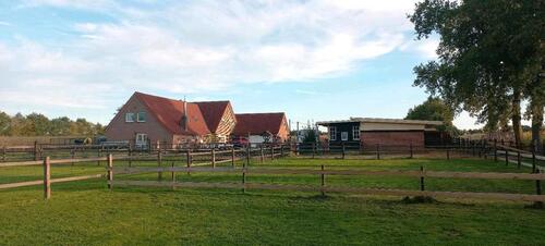 Foto - Mehrfamilienhaus, Wohnhaus in Emlichheim zum Kaufen
