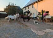 Foto - andere zur Miete in Medebach