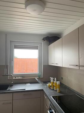 Foto - Etagenwohnung in Teuchern