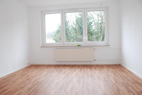 Foto - 3 Zimmer Erdgeschoßwohnung zur Miete in Chemnitz