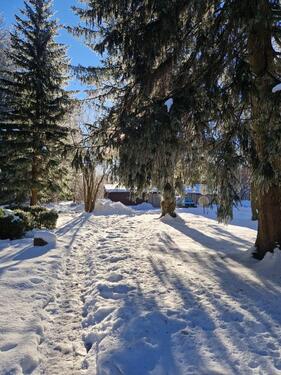 Foto - 1 Zimmer Etagenwohnung zur Miete in Clausthal-Zellerfeld