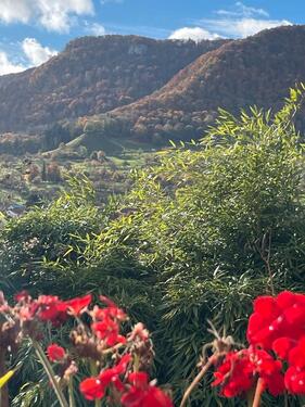 Foto - Etagenwohnung zur Miete in Dettingen an der Erms