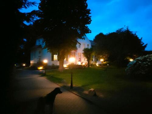 Foto - Etagenwohnung in Himmelpforten zur Miete