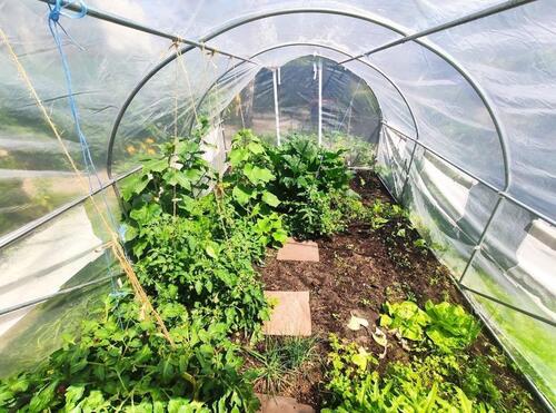 Foto - 2 Zimmer Erdgeschoßwohnung in Berlin