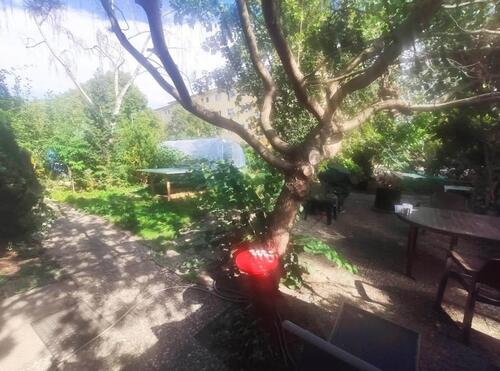 Foto - Erdgeschoßwohnung in Berlin zur Miete